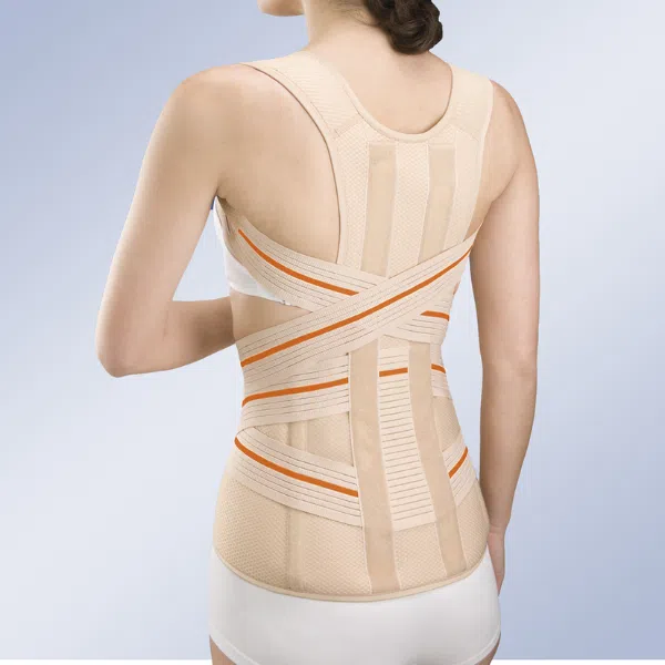 Orliman Faixa Dorsolombar Abdómen Pêndulo_traseira_6215 - Farmácia Rodrigues Rocha