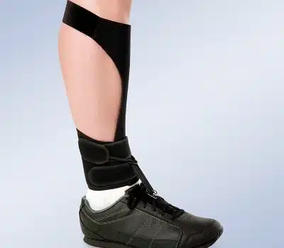 Orliman Suporte para Perna com União para Apoio Equino "Boxia"