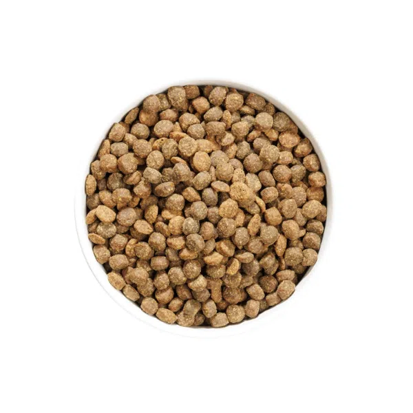 Ownat Author Ração Cão Júnior com Frango