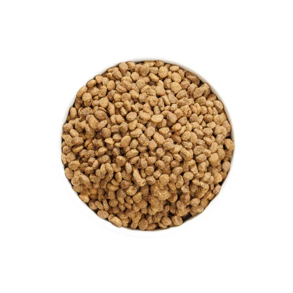 Ownat Author Ração Gato com Peixe e Aves