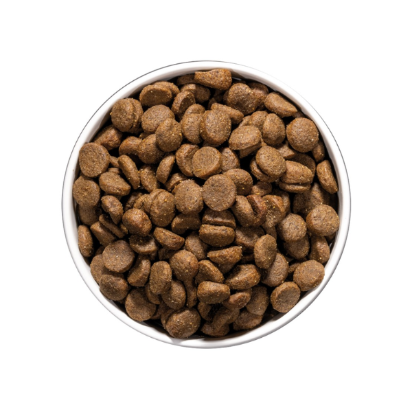 Ração Cão Ownat Care Dermatologic