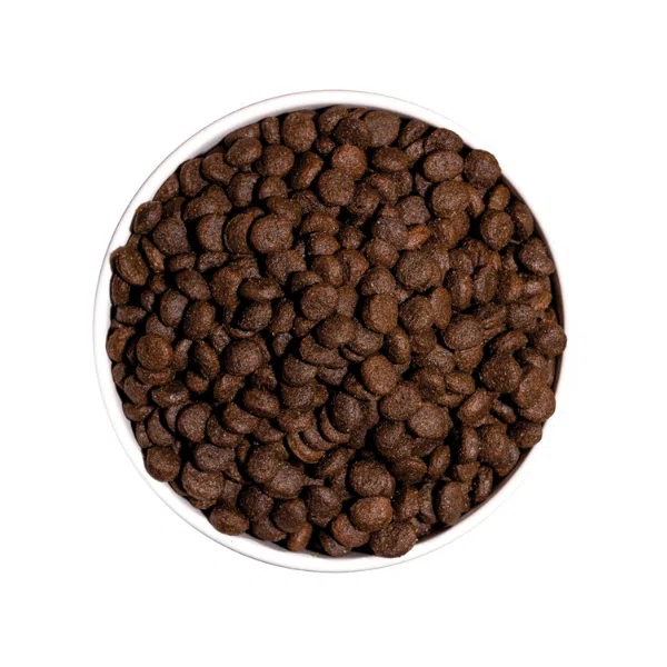 Ownat Grain Free Cão Júnior Cordeiro